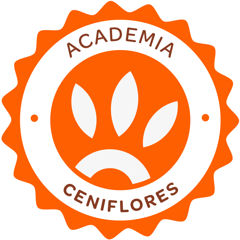 Logo Academia Ceniflores